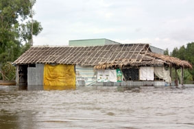 Hạn chế thấp nhất thiệt hại do bão, lũ gây ra