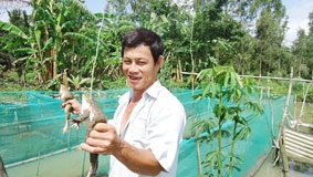 Cuộc bứt phá từ đồng đất