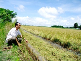 Cuộc bứt phá từ đồng đất
