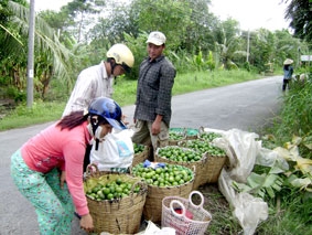 Giá phân bón "leo thang"