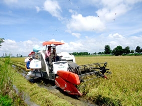 Cuộc bứt phá từ đồng đất