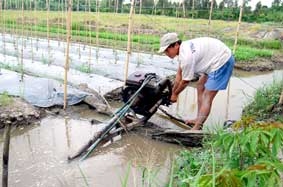 Tập trung phòng chống lụt bão, đảm bảo sản xuất