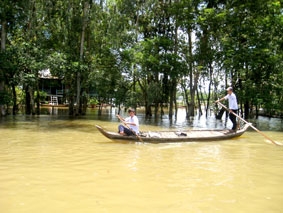 Ký ức mùa nước nổi