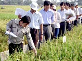 Tiết giảm các chi phí: giải pháp hàng đầu