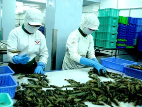 Cần chủ động đồng hành cùng doanh nghiệp!