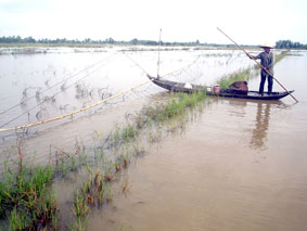 Đẩy côn