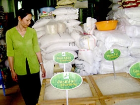 Doanh nghiệp và nông dân cần đẩy mạnh liên kết, hợp tác