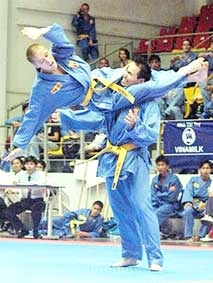 Vovinam với sứ mạng quảng bá võ Việt