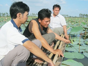 Lâm Thanh Hòa - Táo bạo tìm hướng đi mới