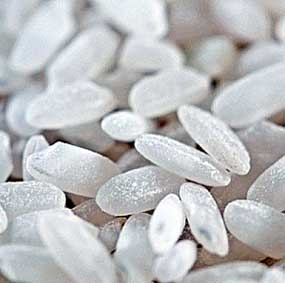 Sản xuất prôtêin trong máu người từ gạo