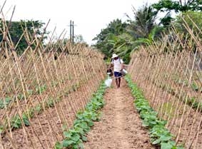 Những yêu cầu cấp thiết