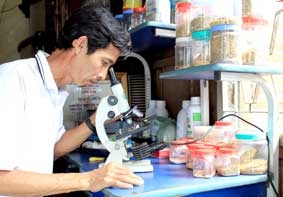 "Hai lúa" lập phòng thí nghiệm