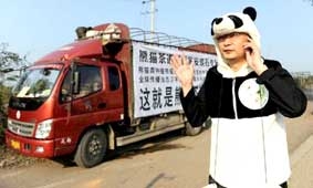 Trà làm từ... phân gấu trúc