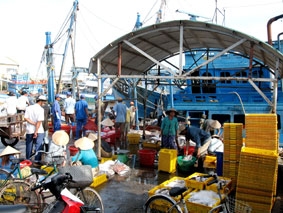 Từ Bãi Xàu hướng về cảng biển quốc tế