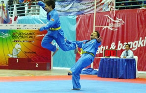 Thêm 9 HCV cho đoàn Việt Nam