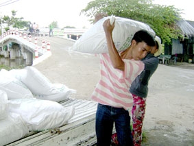 Phấn đấu giữ vững sản lượng 1 triệu tấn lúa năm 2012