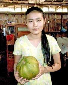 Trái đu đủ hình trái bí rợ