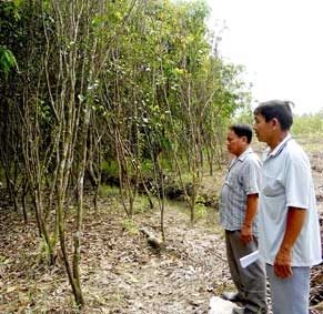 "Treo" 7 năm chưa thực hiện