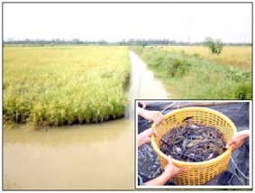 Bước đầu phát huy hiệu quả