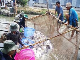 ĐBSCL trước thách thức biến đổi khí hậu