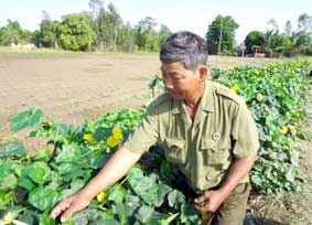 Làm giàu từ mô hình đa canh