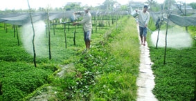 ĐBSCL trước thách thức biến đổi khí hậu