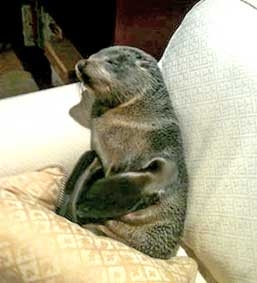 Vị khách đặc biệt