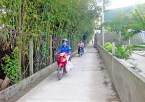 Nâng cao năng lực lãnh đạo, sức chiến đấu của tổ chức cơ sở đảng và đảng viên