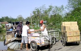 Bánh kẹo thương hiệu Việt "lên ngôi"