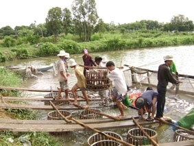 Điều kiện để doanh nghiệp duy trì thị trường