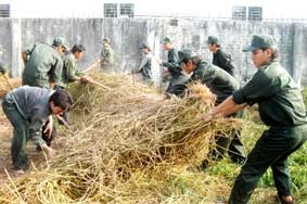 Đẩy mạnh phát triển đảng viên trong lực lượng dân quân tự vệ