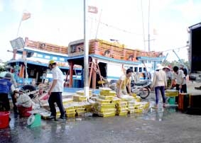 Ngư dân bám biển