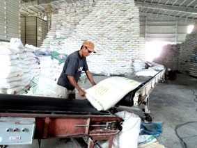 Nhiều triển vọng trong năm mới