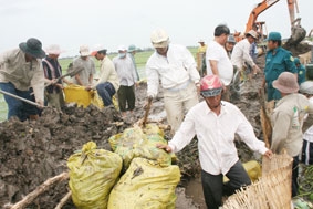 Làm gì để giữ vững diện tích lúa ở ĐBSCL?