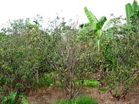 Cần sự đột phá