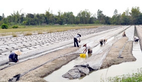 Cần tập trung xây dựng mô hình điểm nông thôn mới
