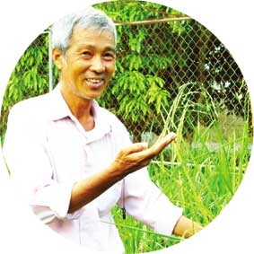 Niềm tin lúa sỏi