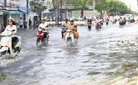 Giữ mùa xanh cho vùng châu thổ