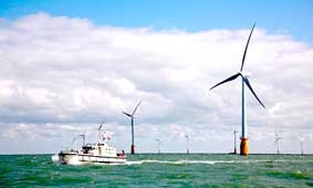 3 ý tưởng giúp ích cho kinh tế lẫn môi trường