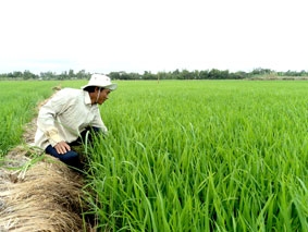 Những tín hiệu vui