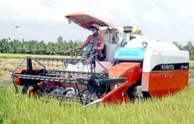 Quan tâm phát triển công nghệ sau thu hoạch