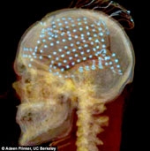 Máy tính đọc được suy nghĩ của người