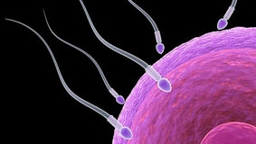 Sóng siêu âm  liệu pháp 
tránh thai mới ở nam giới