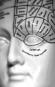 Bí quyết có nhiều bạn bè nằm ở vùng não trước