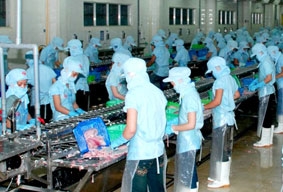 Tháng 1 - Khởi động đà tăng trưởng