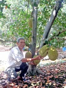 Lão nông sáng tạo