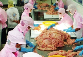 2 tỉ USD - đích đến cho con cá tra