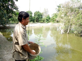 Làm giàu từ mô hình tổng hợp