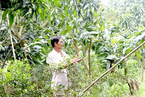 Cần đầu tư để phát huy lợi thế