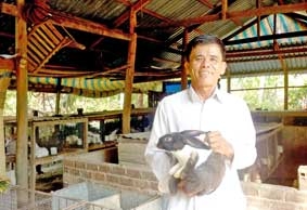 Thu nhập cao nhờ nuôi thỏ